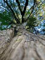 https://images.plurk.com/40dbXycds4SWHan2BFamd2.jpg