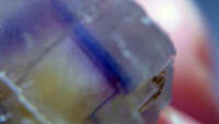 https://images.plurk.com/40fGnkA8GQ8gaDyXHL7SGp.jpg