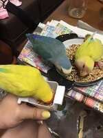 https://images.plurk.com/40gmnNImd8zVWnuC0w0l3k.jpg