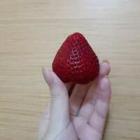 https://images.plurk.com/40jrfufA4Wc0zKR4QvPupi.jpg
