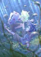 https://images.plurk.com/40nNmebxVsH2wWr2QHN2PV.png