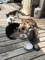 https://images.plurk.com/40qpO2JWiduLVRBATt5MIT.jpg