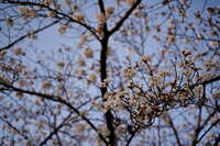 https://images.plurk.com/40t9XQy1gqhql01SN72e7B.jpg