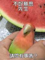 https://images.plurk.com/40xjfc3cBDmsKBC2RubXMV.jpg