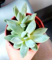https://images.plurk.com/40zGloBg76yQLNNsBKsspk.jpg