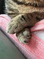 https://images.plurk.com/410KDoap27kHesCZsSaVVW.jpg