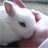 https://images.plurk.com/412RORabpVsBKgFOWn7T73.png