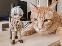 https://images.plurk.com/412nNB5mURYfVRmXa30uk6.jpg