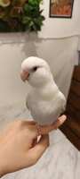 https://images.plurk.com/418zfGTiDv9AwEW5vAt2mH.jpg