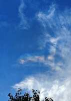 https://images.plurk.com/41KxxUSIXgRKkVSM0rrzsY.jpg