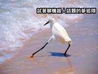 https://images.plurk.com/41P5mS25tKIy5pNGFSxyXL.png