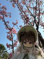 https://images.plurk.com/41YcNOOWrAPUU9Oze2t7z8.jpg