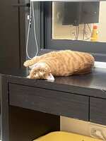 https://images.plurk.com/41flLP1tvWgafmgBwskjBE.jpg