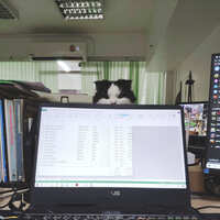 https://images.plurk.com/41knR1R86R8DvbOdXcQSZc.jpg