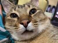 https://images.plurk.com/41pp17bWypUoXTLTIyIq9f.jpg