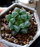 https://images.plurk.com/420FARRAnmDxGa0BBSHosO.jpg