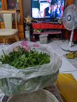 https://images.plurk.com/42Kb2MktKf4RsAwy8YG5r8.jpg
