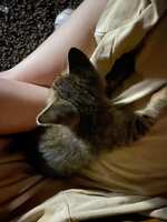 https://images.plurk.com/42L836zy2Lc6Rk9uShFu04.jpg