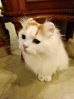 https://images.plurk.com/42Lm97MfeDImknoXu3HCHP.jpg
