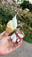 https://images.plurk.com/42fRbV0LLGSZpZdxShvlz0.jpg
