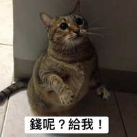 https://images.plurk.com/42lqxfF5KYT5Lq9kNiX7O9.jpg