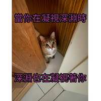 https://images.plurk.com/42zOZ43Ob5N8EjFNHN1TC0.jpg