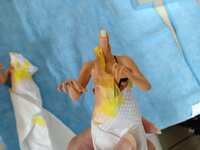 https://images.plurk.com/432r94hvkga1Cc24HyYMgh.jpg