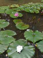 https://images.plurk.com/43BmeCkbYMcPrkRDdCtv5C.jpg