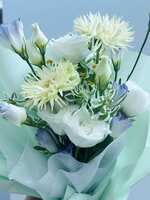 https://images.plurk.com/43CF5uNvoiN8ulxS3cEAMO.jpg