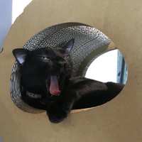 https://images.plurk.com/43JI6fOQhL135JhwlMc0JQ.jpg