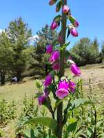 https://images.plurk.com/43Q8HD05uICTNrxQXXwXYz.jpg