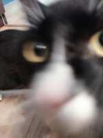 https://images.plurk.com/43VEL8t66s7Se80etuhNP2.jpg