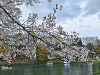 https://images.plurk.com/43ZG7BkPmdjARYOI54enM9.jpg