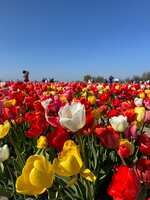https://images.plurk.com/43nT5BNjRcAF2HO1vVpRYG.jpg