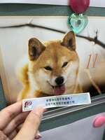 https://images.plurk.com/43z0rqWjjm4OD4xFMjkgTd.jpg