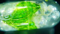 https://images.plurk.com/43zBXNIB8BSK712NOV1D5F.jpg