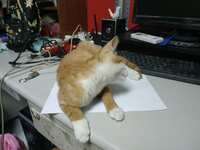 https://images.plurk.com/440adZjcisIEk8uaigK6Yg.jpg
