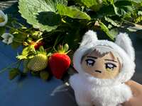 https://images.plurk.com/444nQpOfwNczUlRwBG5hR8.jpg