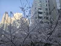 https://images.plurk.com/447uXOlMIiOgM2qkWNtXn9.jpg