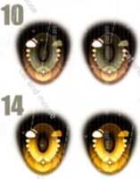 https://images.plurk.com/449obYobkhB6ENXoPXa23E.png