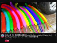 https://images.plurk.com/44BQKrOq64kryWh34VvxG8.png