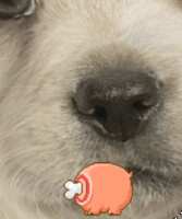 https://images.plurk.com/44NsZgBRmZP8wfK9baigq4.gif
