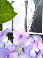 https://images.plurk.com/44XhXEbiN32e1q7D4F5isl.jpg