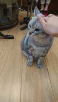 https://images.plurk.com/44YMDcdmXg66JH3ZxEnEHJ.jpg