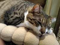 https://images.plurk.com/44ZLxk0569rJ8uT71a6qRh.jpg