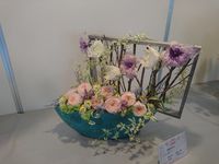 https://images.plurk.com/44bH2OnqMnbZvnYlXERK.jpg
