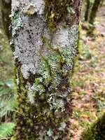 https://images.plurk.com/44itLoUbdzpR79Utuly0Br.jpg