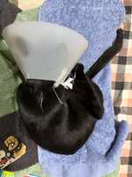 https://images.plurk.com/44rg4AdBymVMqaGj9CryJw.jpg