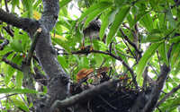 https://images.plurk.com/44xubABVakPHhfq3p69lsR.jpg