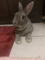 https://images.plurk.com/451XaP3mQb96LdyNiLs4z2.jpg